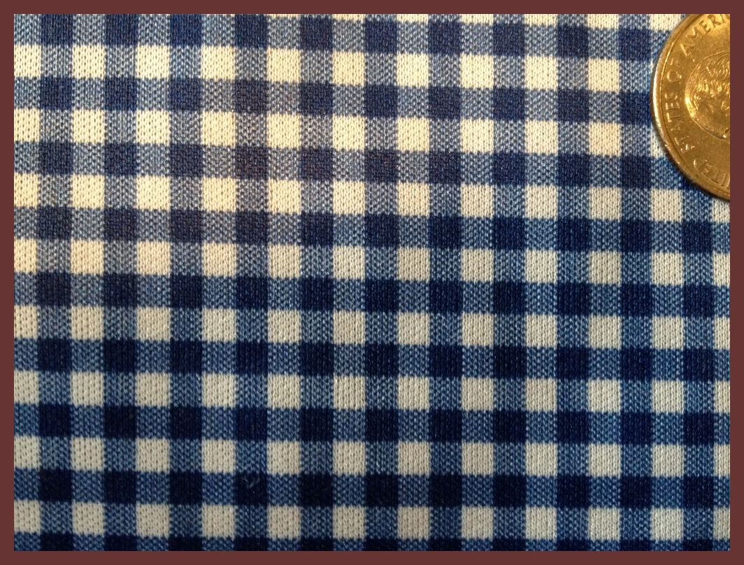 Gingham Blue -by the inch